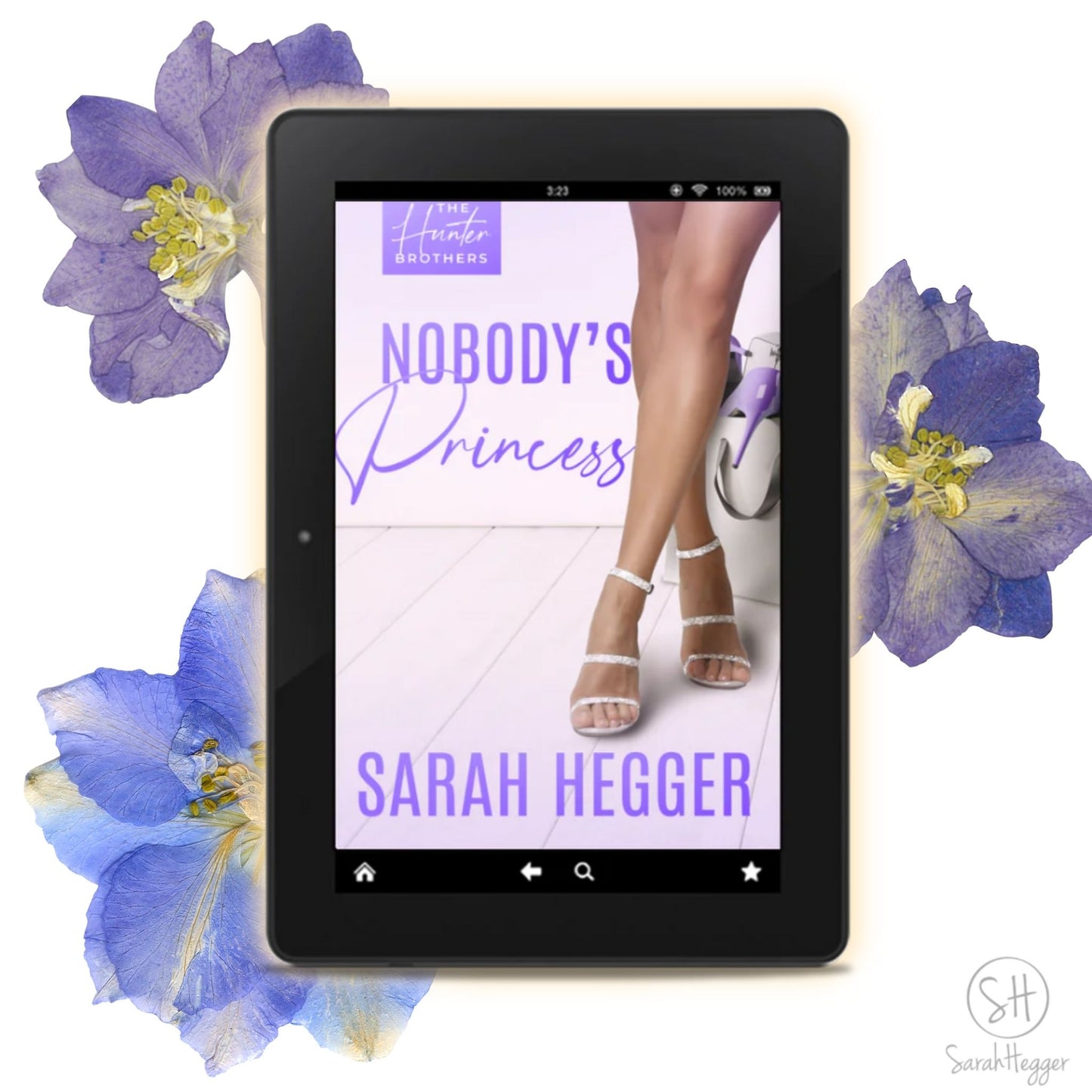 Nobody's Princess (Hunter Brothers #3)